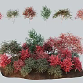Various Colored Trees With Red And Green Foliage In Garden Landscape Design