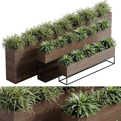 Decorative Bonsai Potted Plants In Wooden Metal Containers With Multi Tiered Arrangement And Green Foliage 3d model