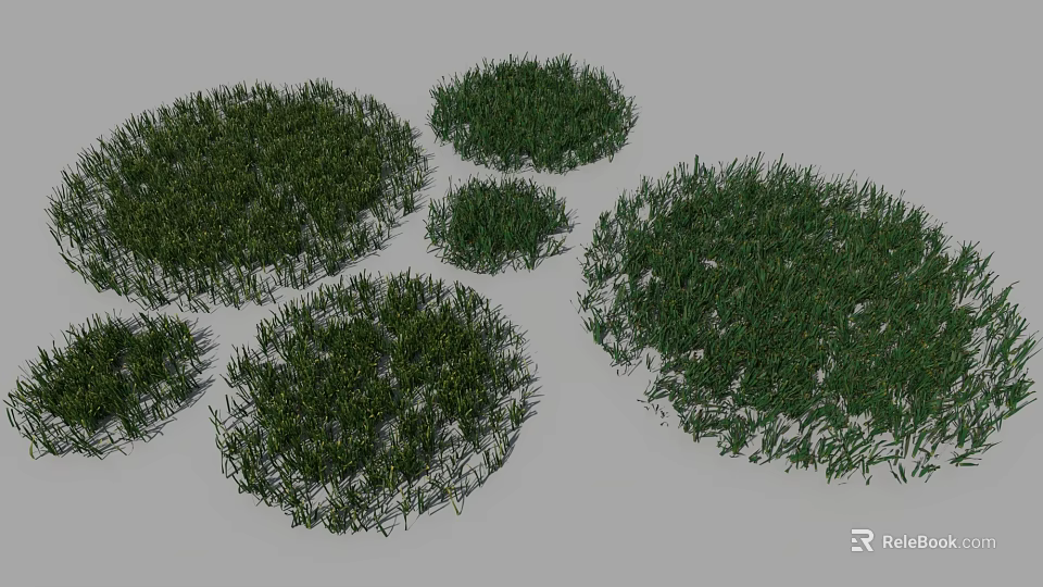 Various Green Groundcover Plants With Different Sizes Round Shapes And Lush Foliage 3d model 