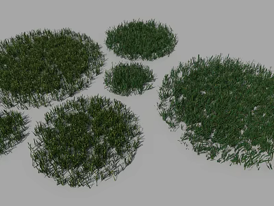 Various Green Groundcover Plants With Different Sizes Round Shapes And Lush Foliage 3d model