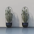 Two Black Metal Frame Potted Plants With Green Foliage On Smooth Gray Floor Light Wall