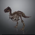 Golden T Rex Dinosaur Skeleton With Detailed Bone Structure On