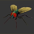 fly green head fly insect animal 3d model