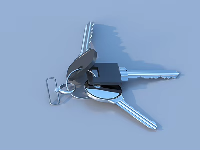 Durable Metal Keychain With Multiple Keys For Daily Use Essentials 3d model
