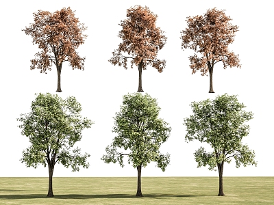 Trees Landscape Trees Street Trees Maple Trees Spring and Autumn Landscape Trees Courtyard Trees Pomegranate Trees Apple Trees Orange Trees Peach Trees 3d model