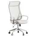 Light Colored Office Chair With Mesh Back Padded Seat And Adjustable Armrests