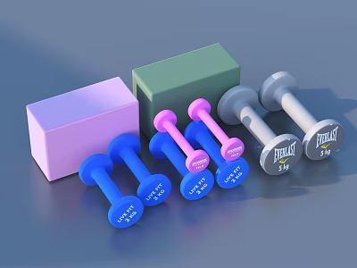 Peak 5kg Dumbbells in Blue Pink Gray with Fitness Exercise Blocks for Home Gym 3d model