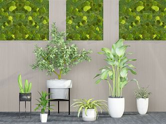 Modern potted combination 3d model