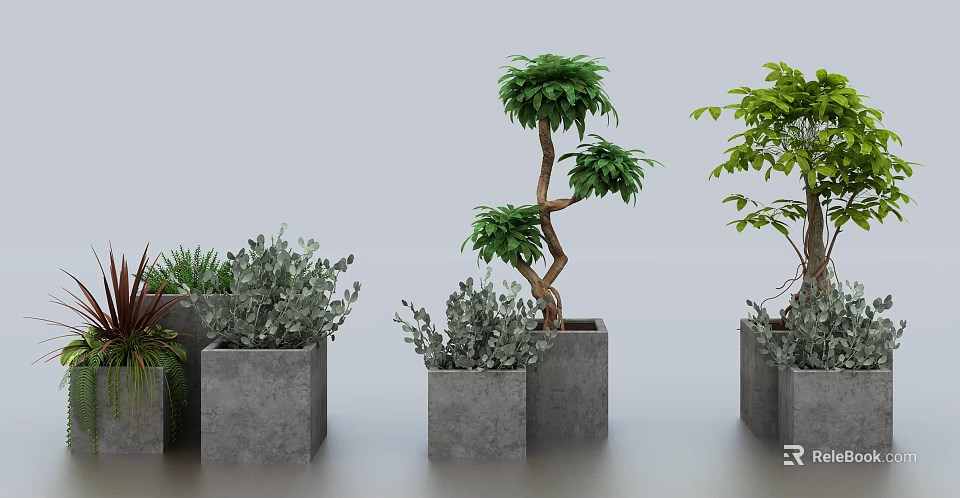 Bonsai Potted Plants In Concrete Planters With Varied Green Foliage And Small Trees 3d model 
