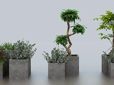 Bonsai Potted Plants In Concrete Planters With Varied Green Foliage And Small Trees 3d model