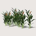 Fresh Green Plants with Long Leaves and Vibrant Yellow Flowers on White Background