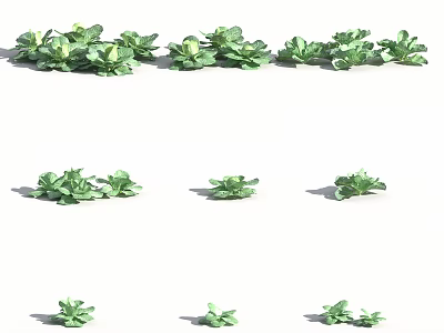 Organic Fresh Green Leafy Vegetables With Various Sizes And Natural Arrangement 3d model