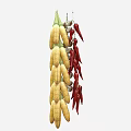 Hanging Dried Corn Cobs And Red Chili Peppers For Decorative Purpose 3d model