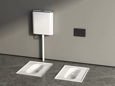 Modern Squat Toilets With White Water Tank Black Switch Panel On Gray Wall And Floor 3d model