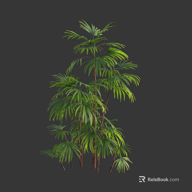 Lush Green Bamboo Plant With Multiple Stems Feathery Leaves And Natural Growth 3d model 