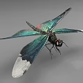Vibrant Dragonfly With Iridescent Wings White Tipped Edges And Detailed Body