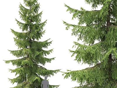 Pine Tree Decorative Ornament Set With Lifelike Green Foliage For Home Decor 3d model