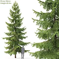 Pine Tree Decorative Ornament Set With Lifelike Green Foliage For Home Decor