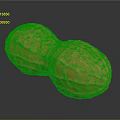 Whole Shelled Peanut Plant Seed With Orange Textured Surface On Dark Background And Reflection