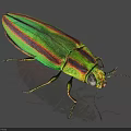 Vibrant Green And Red Striped Reptile With Shiny Scales On Gray Background Surface