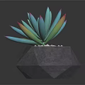 Bonsai Succulent Plant With Turquoise Leaves Pink Yellow Edges Gray Geometric Pot White Pebbles