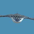 manta ray devil fish spotted eagle ray marine animal marine fish 3d model