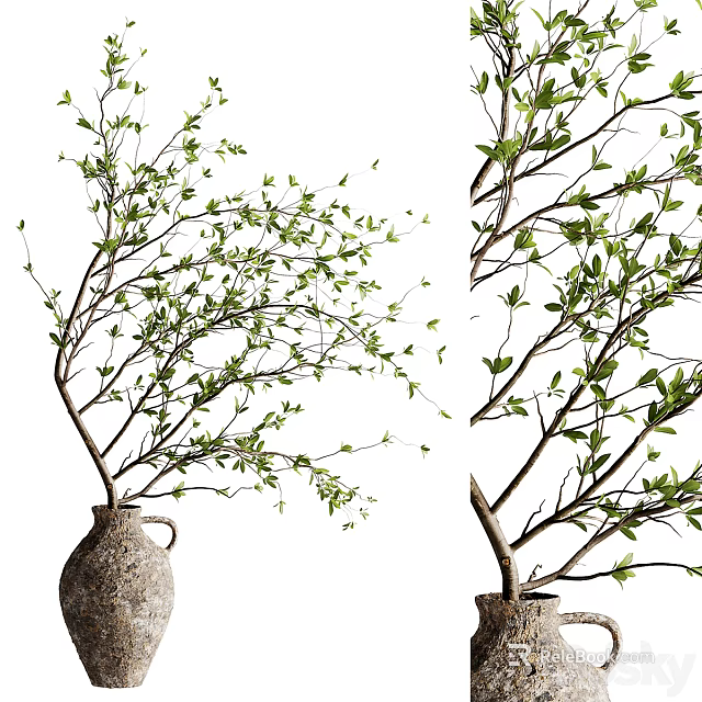 Bonsai Tree with Lush Green Leaves and Slender Branches in a Terracotta Pot 3d model 