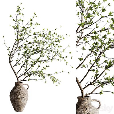 Bonsai Tree with Lush Green Leaves and Slender Branches in a Terracotta Pot 3d model