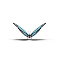 Beautiful Blue Butterfly With Vibrant Wings And Detailed Patterns As Flying Insect