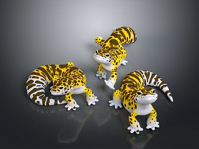 Three Yellow And Black Spotted Reptile Leopard Geckos In Different Poses 3d model