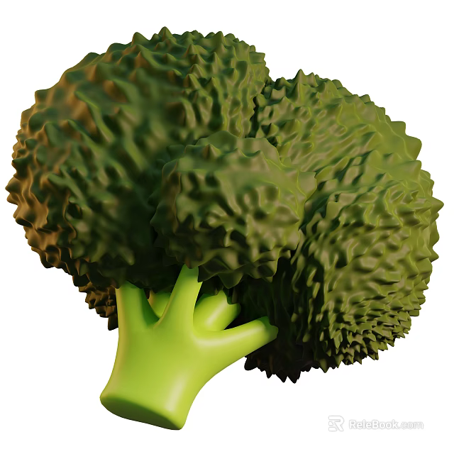 Fresh Green Broccoli with Crisp Florets and Tender Stalks as Healthy Vegetable 3d model 