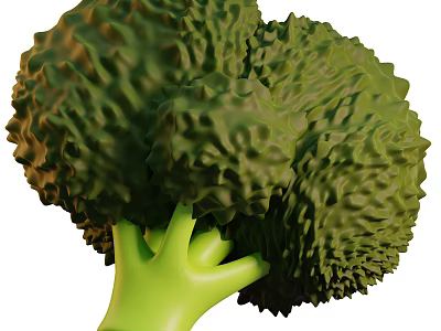 Fresh Green Broccoli with Crisp Florets and Tender Stalks as Healthy Vegetable 3d model