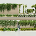 Lush Climbing Vines Covering Wooden Wall In Vertical Garden With Mixed Green Plants