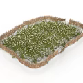 Modern Miniature Grass Scene With Brown Border And Green Turf