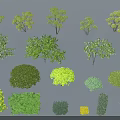 Various Types of Shrubs for Landscape Design with Different Shapes and Colors