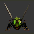 Green and yellow striped bee with transparent wings on black background and reflective surface