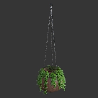 Plant Ceiling Rattan Wall-hanging Vine Hanging Basket Green Plant 3d model