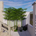 Tranquil Garden Landscape Featuring Bamboo Trees Stone Accents Paved Walkway And White Walls