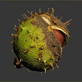 Spiky Green Plant Fruit With Brown Spots And Withered Stem On Dark Background With Reflection 3d model
