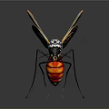 Mosquito With Black And White Markings Red Abdomen Yellow Black Veined Wings On Dark Background