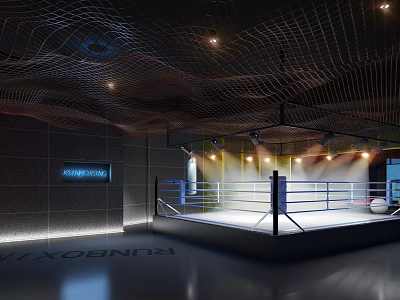 Modern Boxing Fitness Training Gym With Professional Ring And Sports Lighting Area 3d model