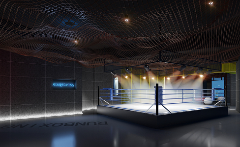 Modern Boxing Gym Fitness Boxing Gym 3d model