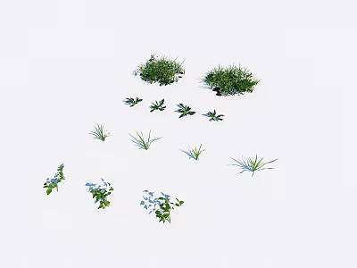 Various Small Flowers And Green Grass With Blue Blooms On White Background 3d model