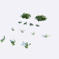 Various Small Flowers And Green Grass With Blue Blooms On White Background