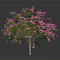 Lush Green Tree With Vibrant Pink Flowers And Foliage On Dark Background