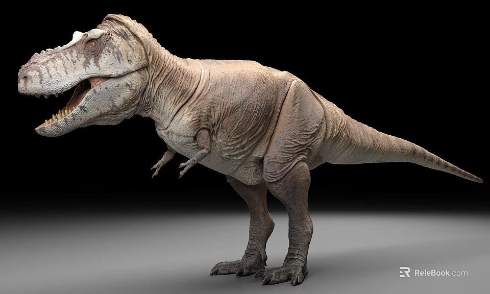 Realistic Tyrannosaurus Rex 3D Model With Detailed Skin And Open Mouth 3d model 