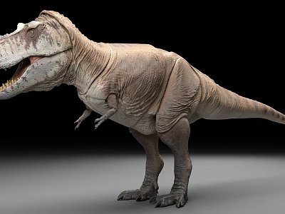 Realistic Tyrannosaurus Rex 3D Model With Detailed Skin And Open Mouth 3d model