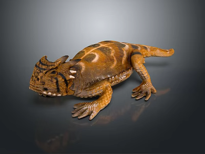 Detailed Brown And Orange Spotted Lizard With Horned Head On Dark Background 3d model