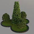 Conical and Rounded Shrubs Planted in Green Grass With Gray Stone Edges 3d model