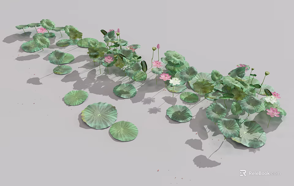 Green Lily Pads and Pink Lotus Flowers on Water Surface with Budding Blooms 3d model 